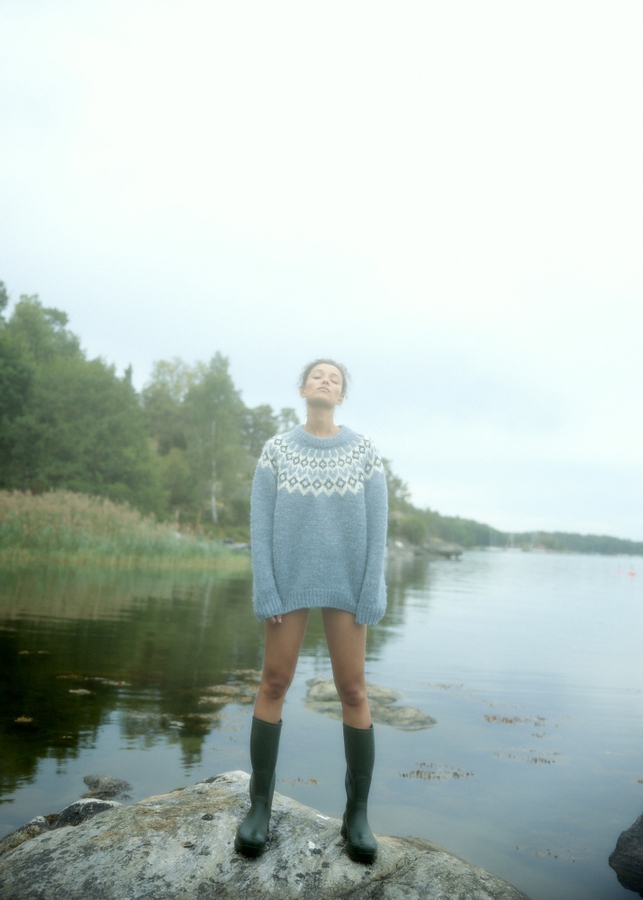 Model Image