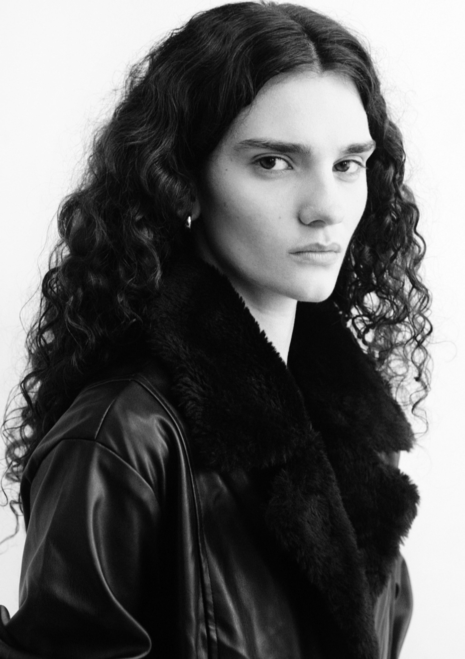 Model Image