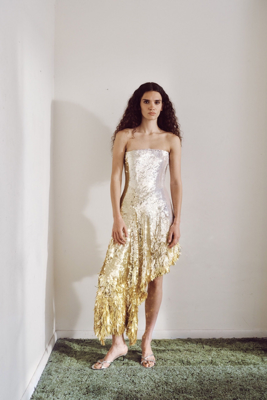 Model Image