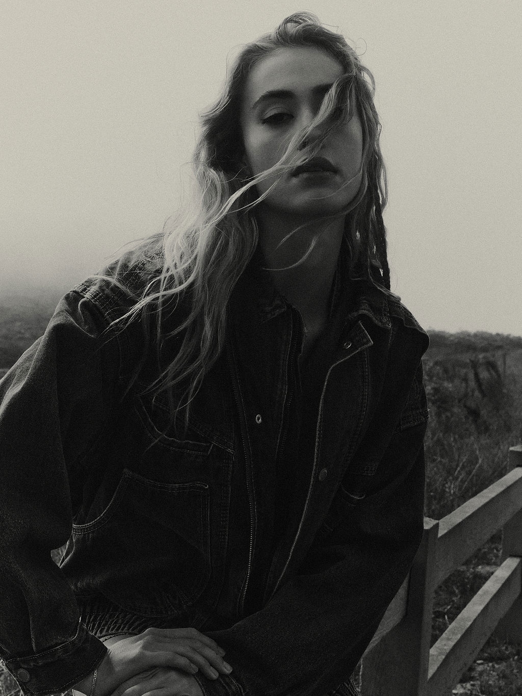 Model Image