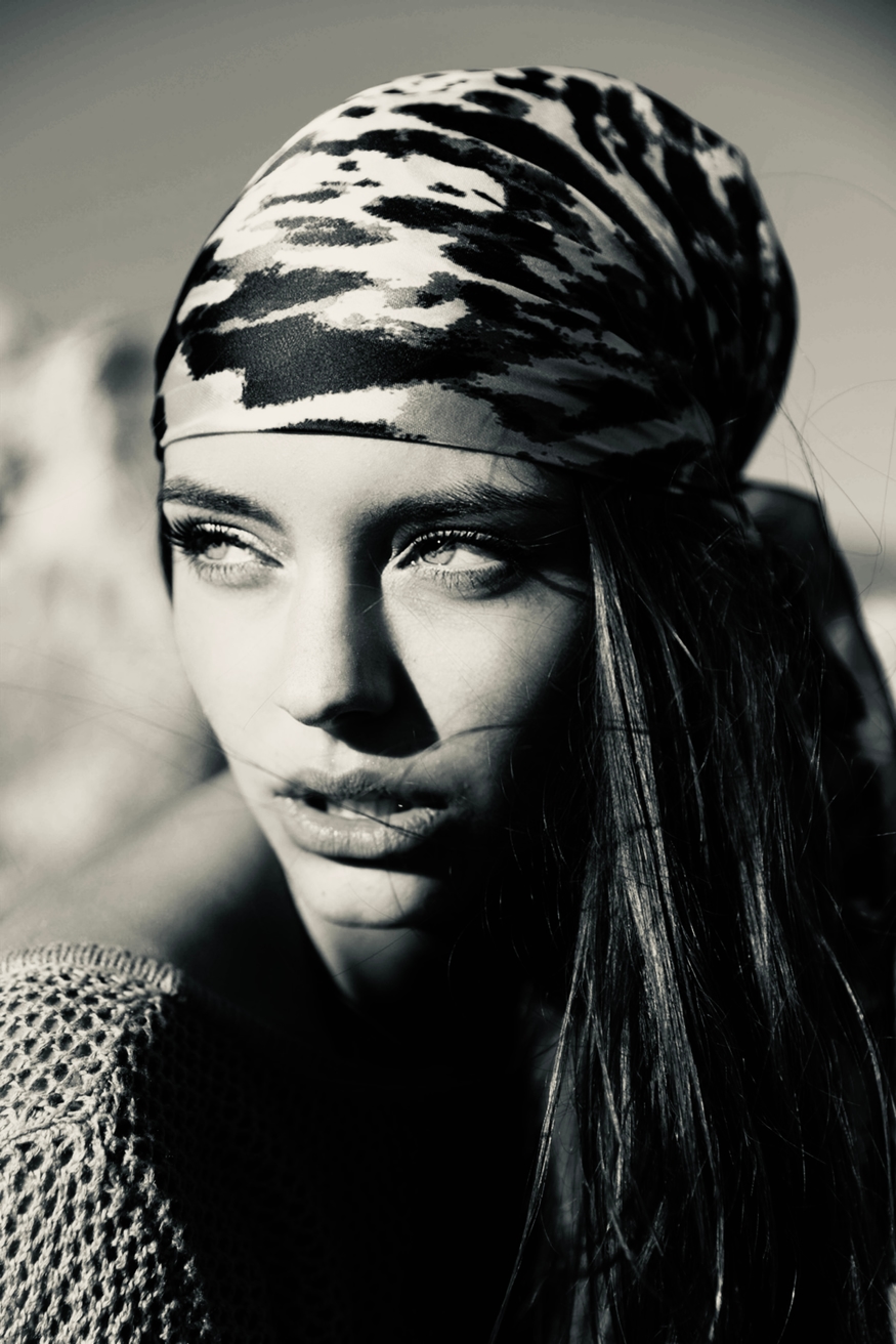 Model Image