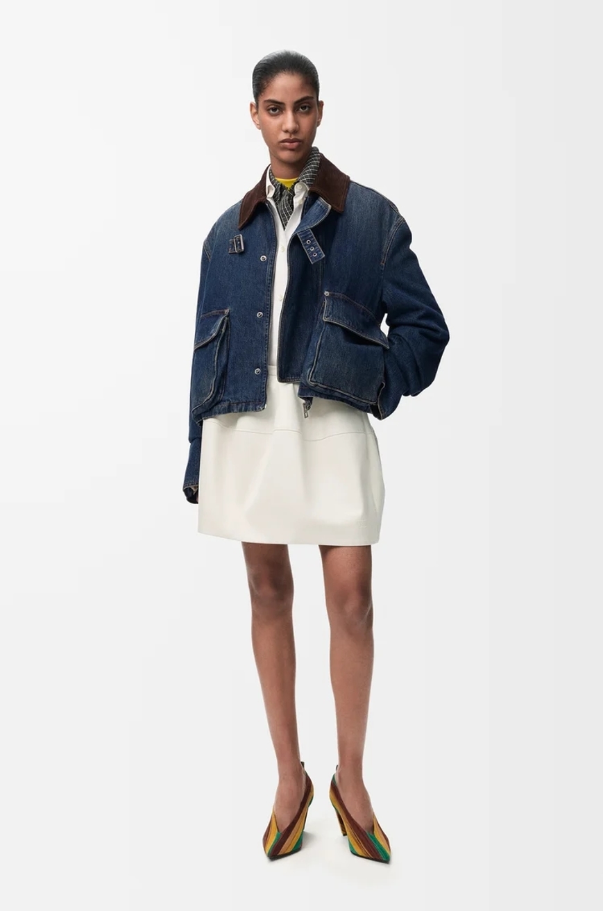 Model Image