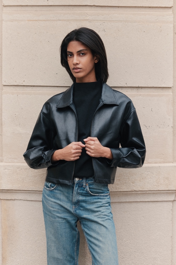 Model Image