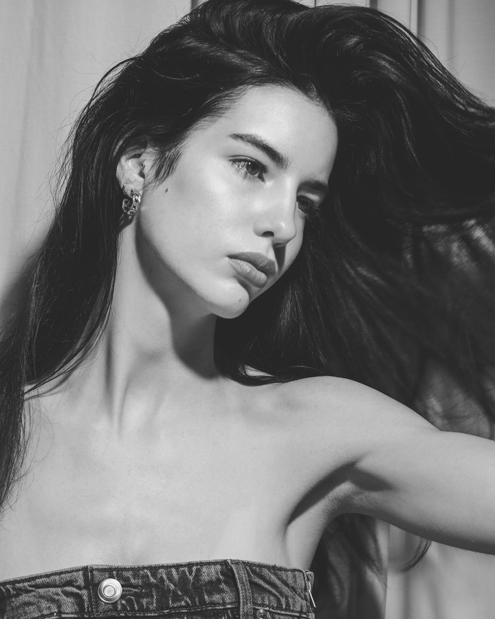 Model Image
