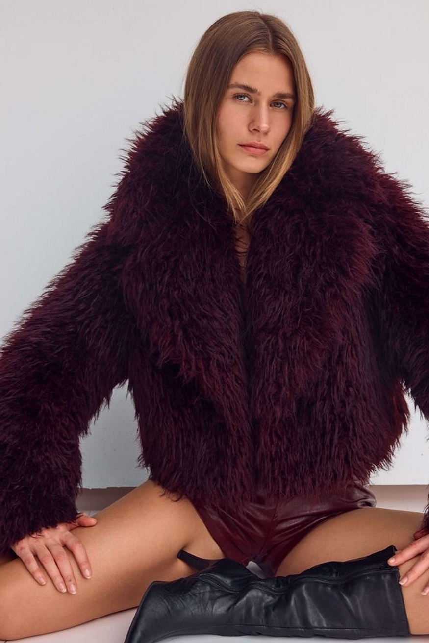Model Image