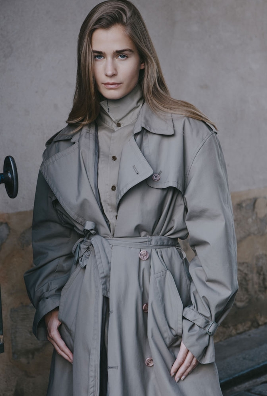 Model Image