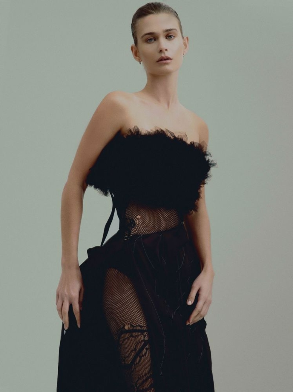 Model Image