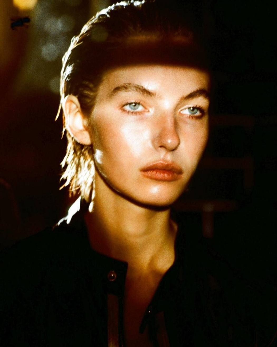 Model Image