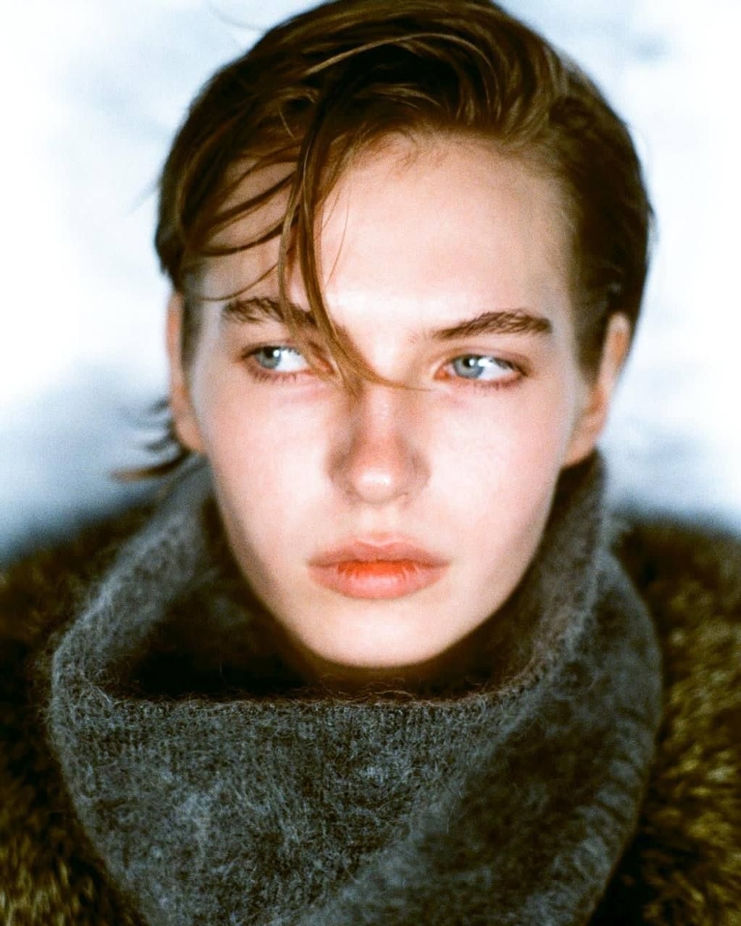 Model Image