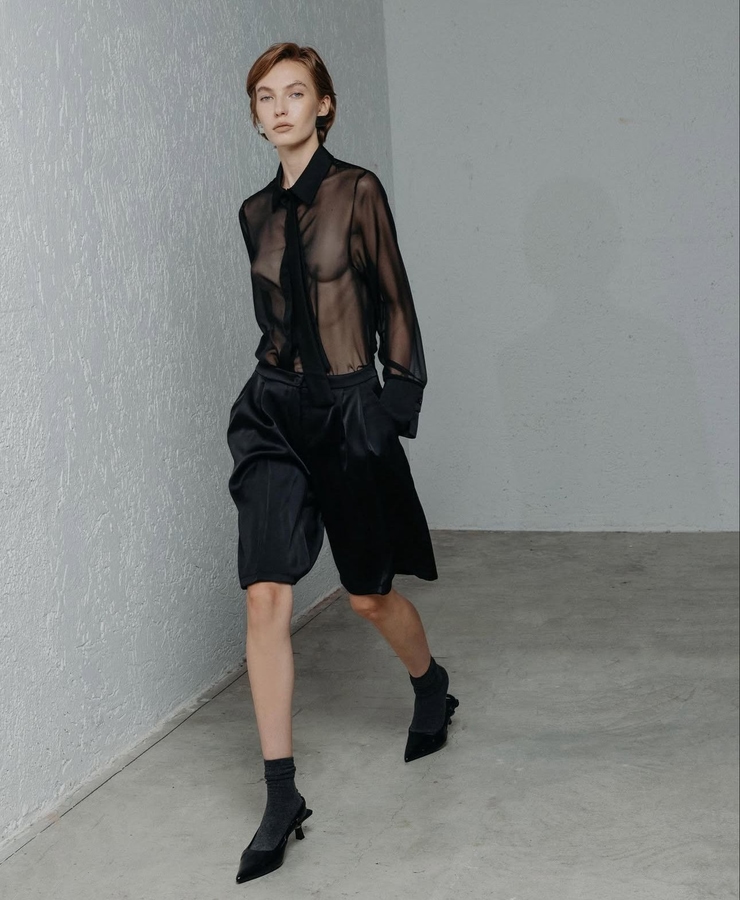 Model Image