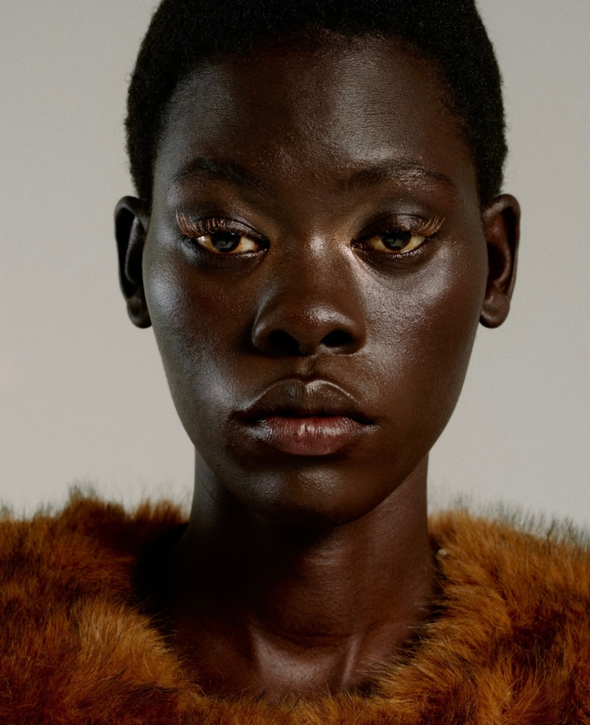 Model Image