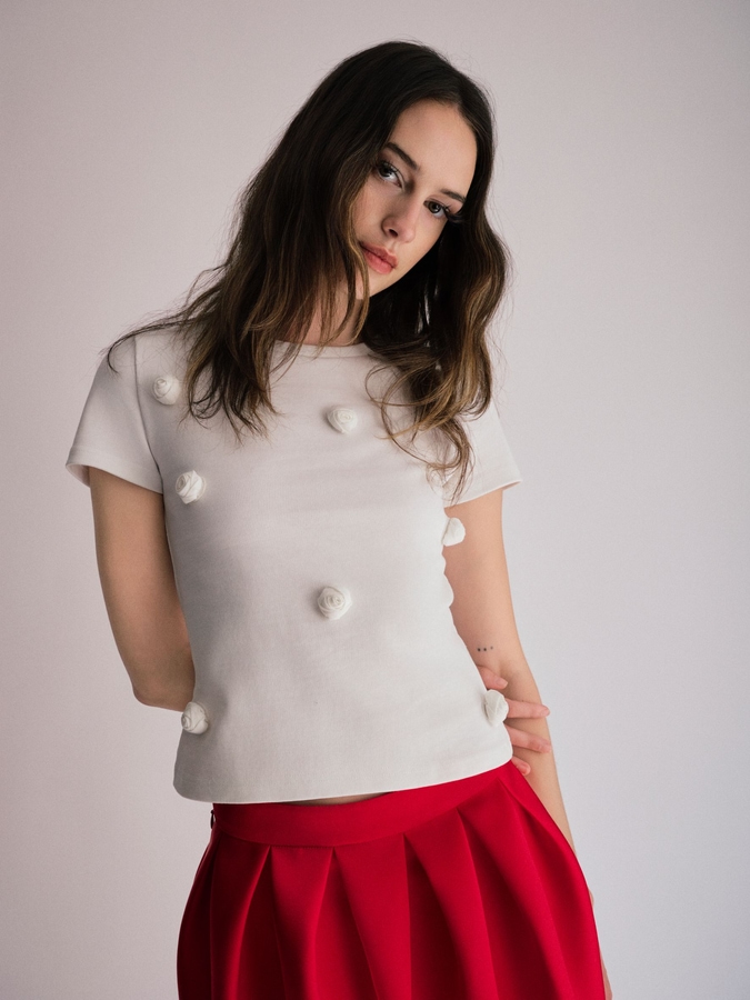 Model Image