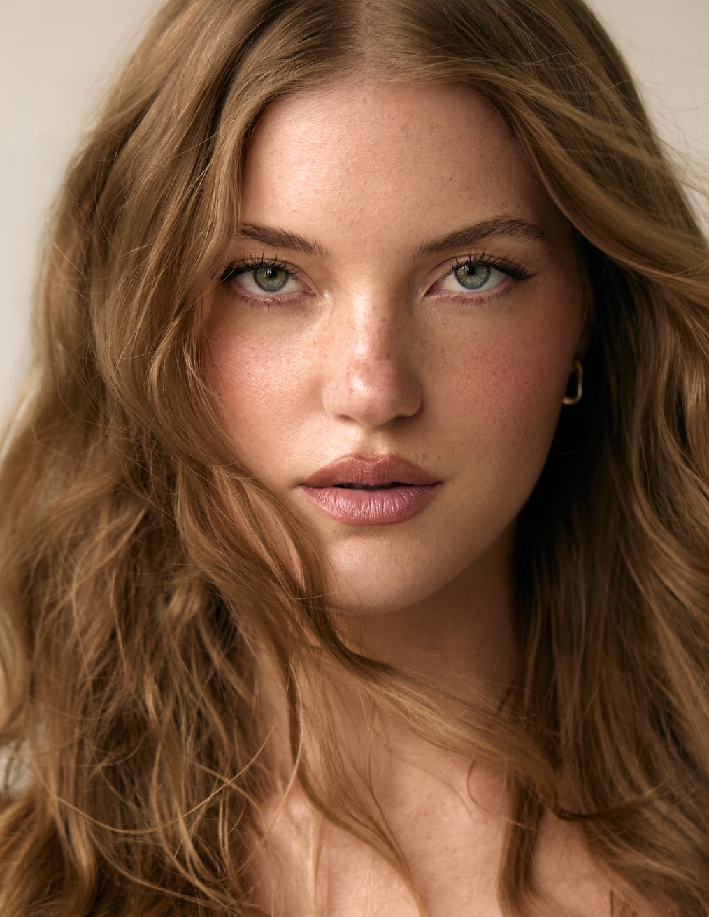 Model Image