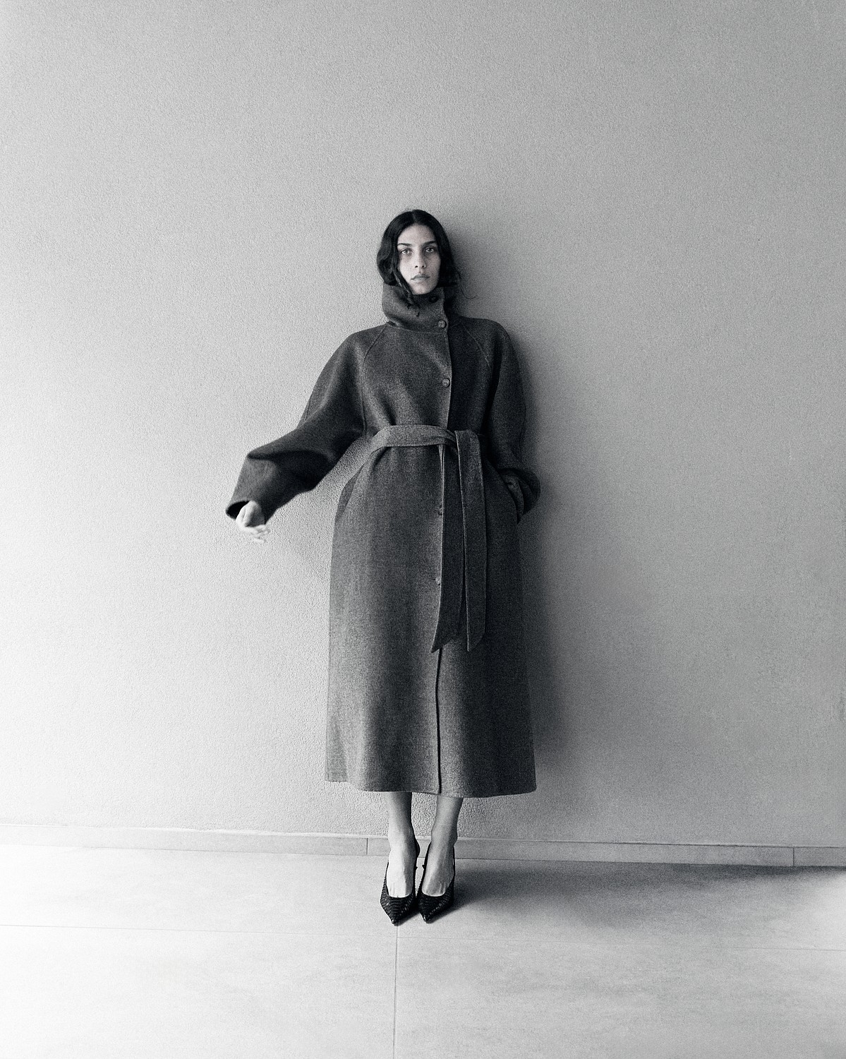 Model Image