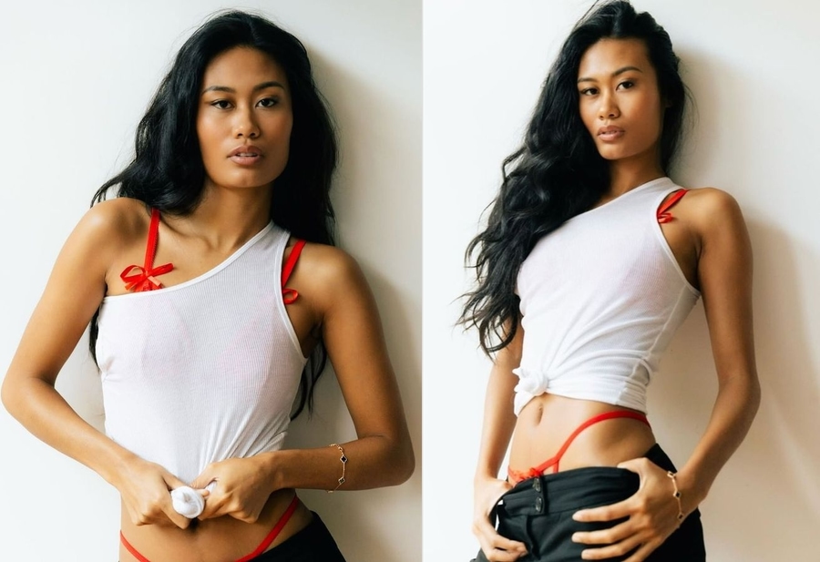 Model Image