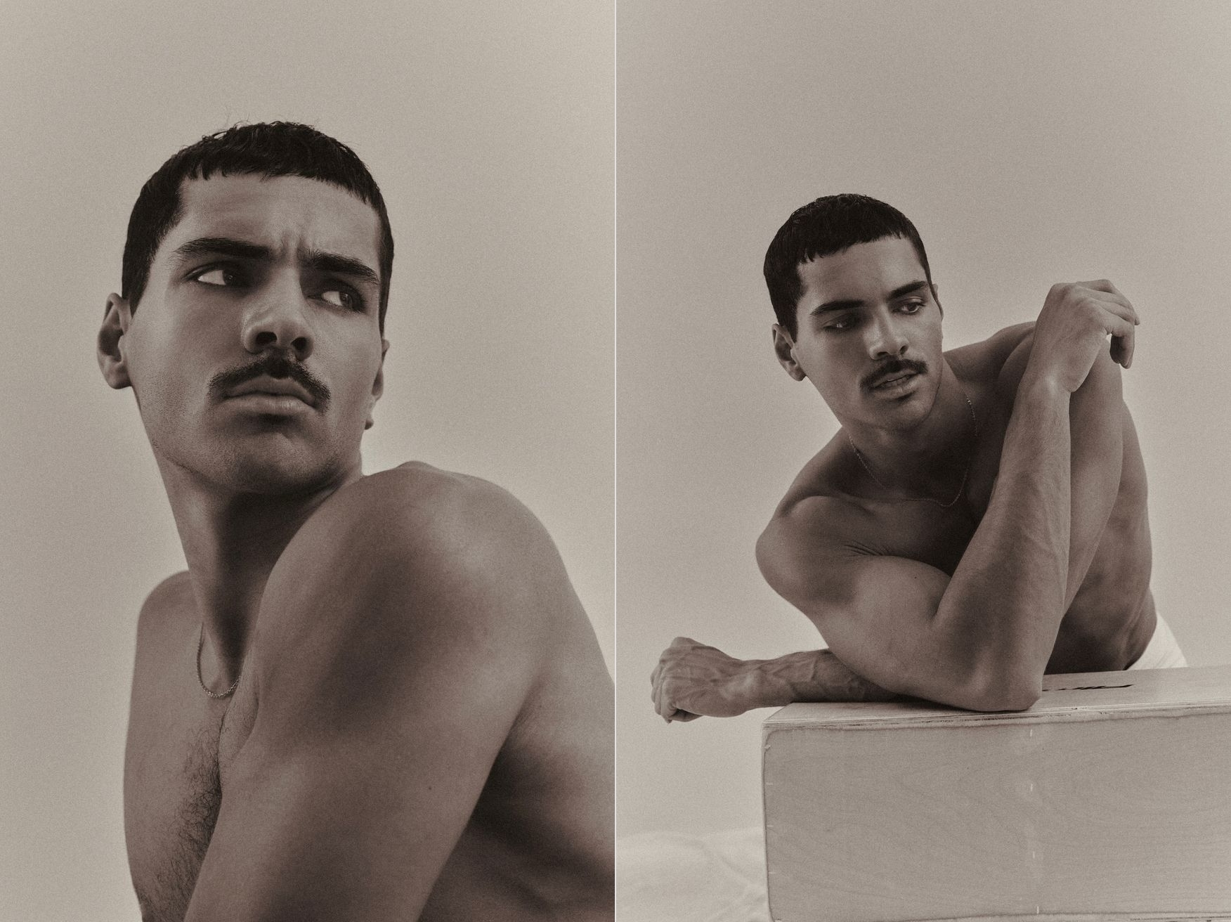 Model Image