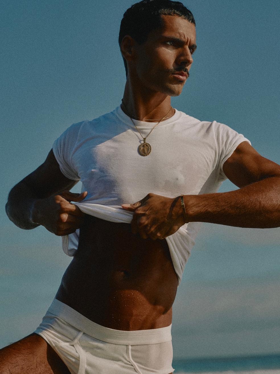 Model Image