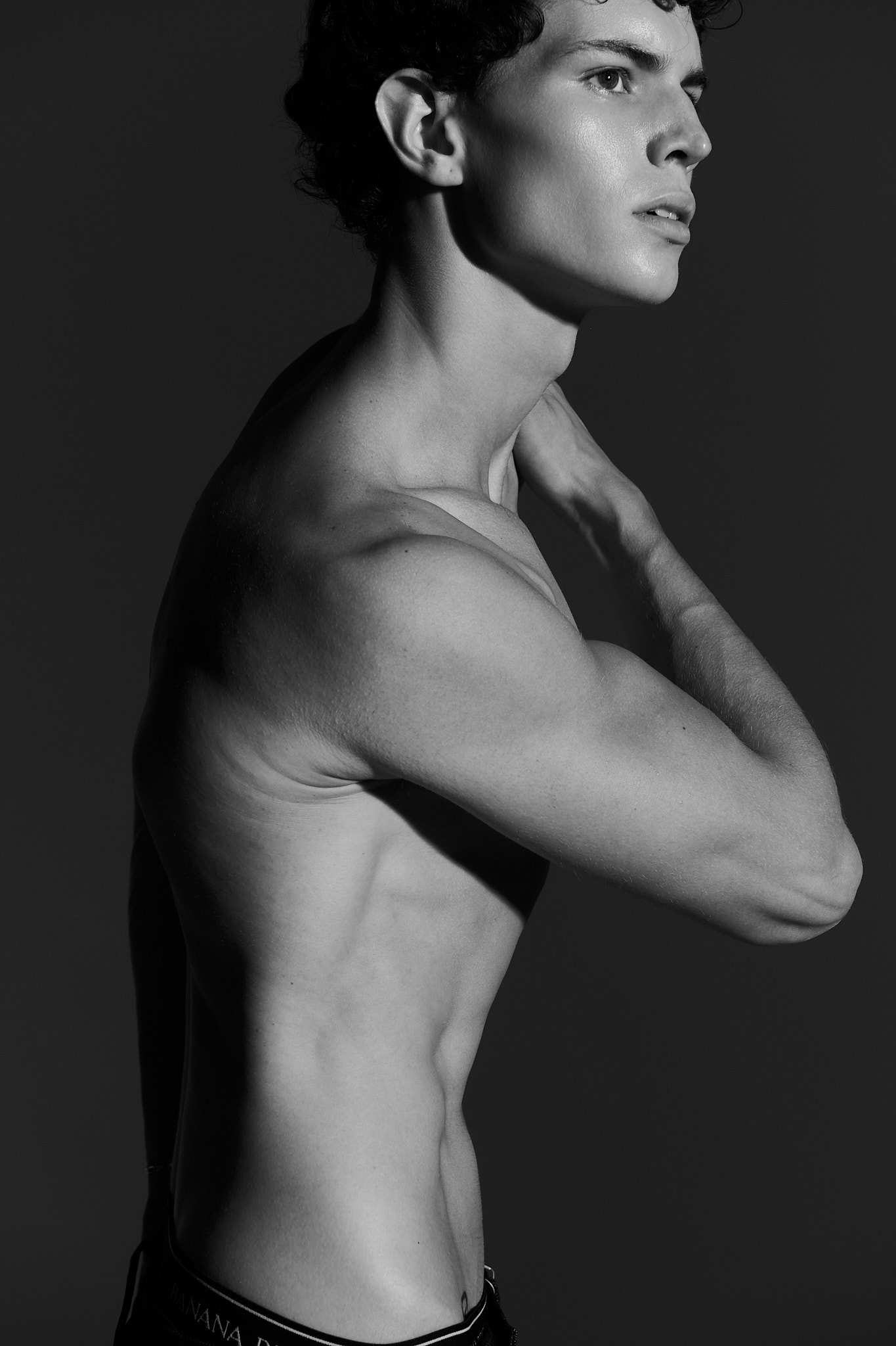 Model Image
