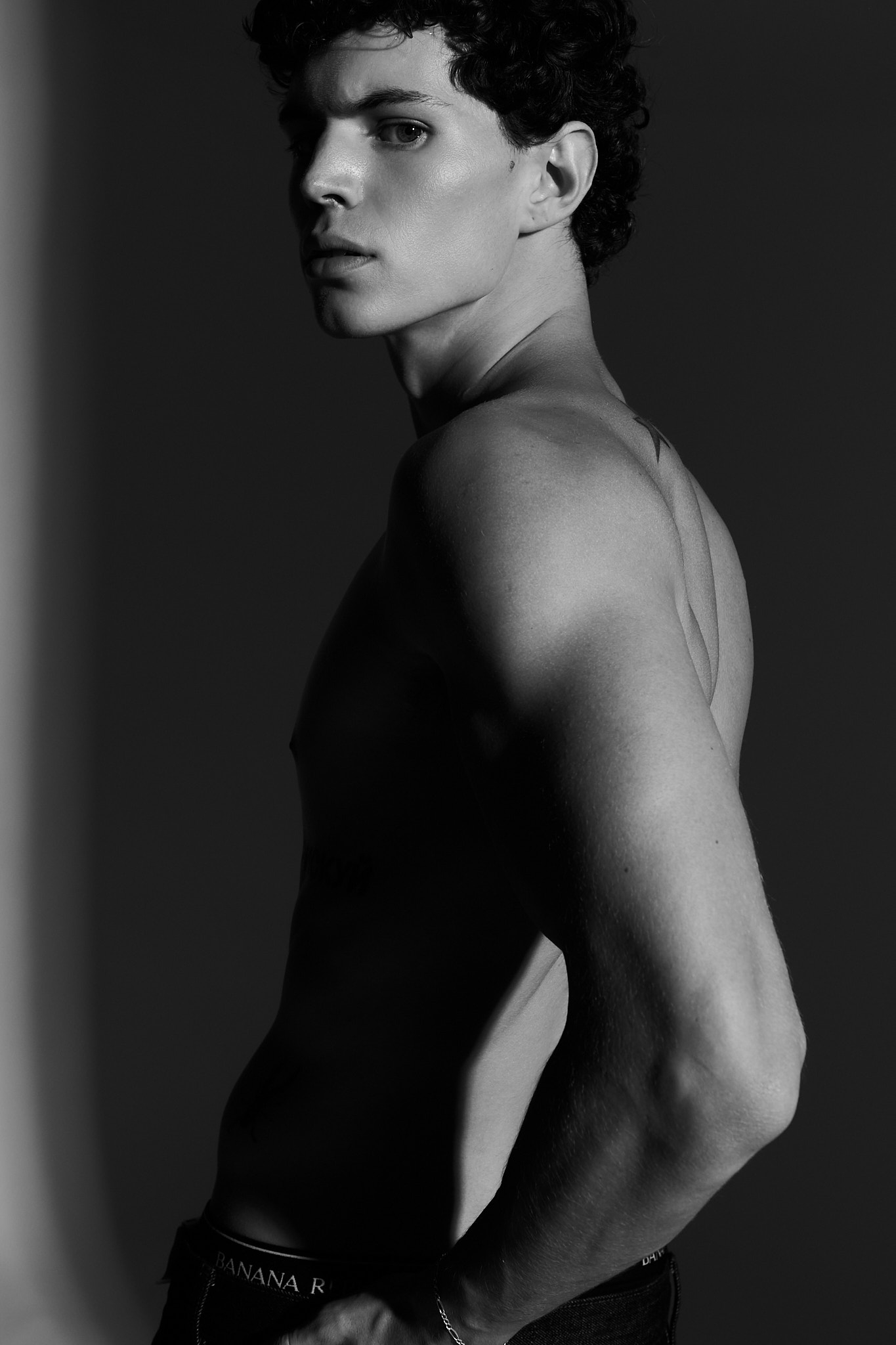 Model Image