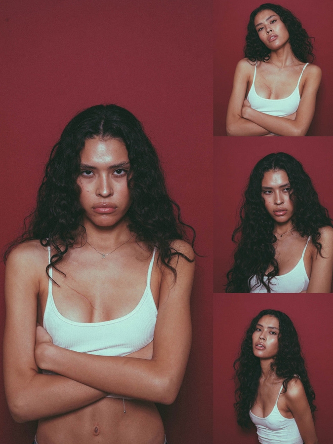 Model Image