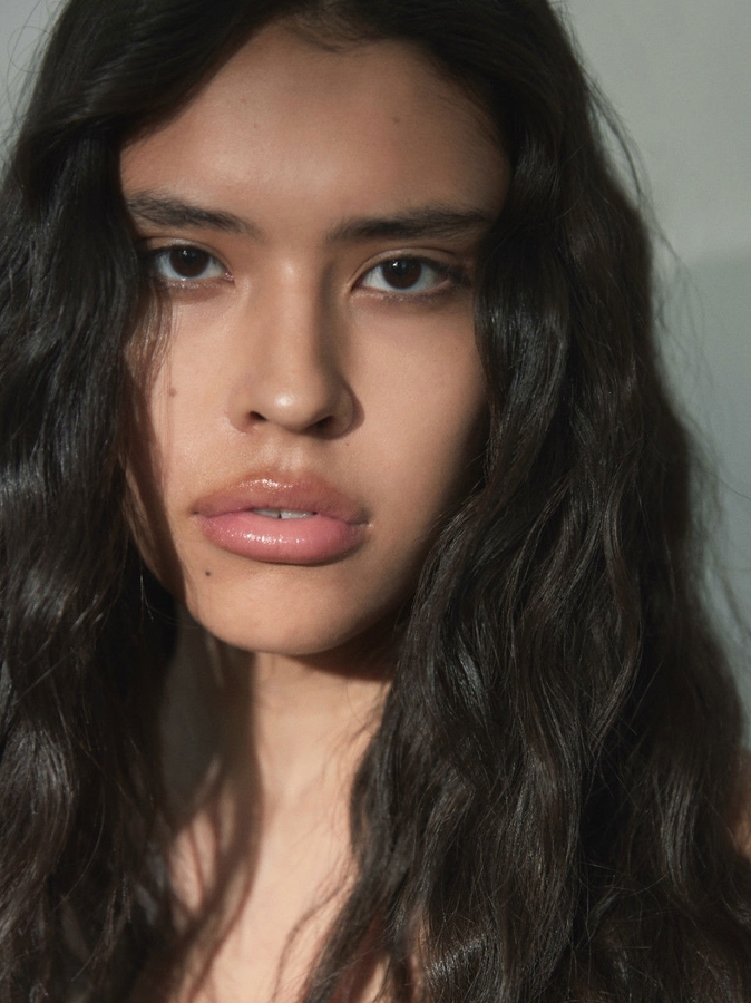 Model Image