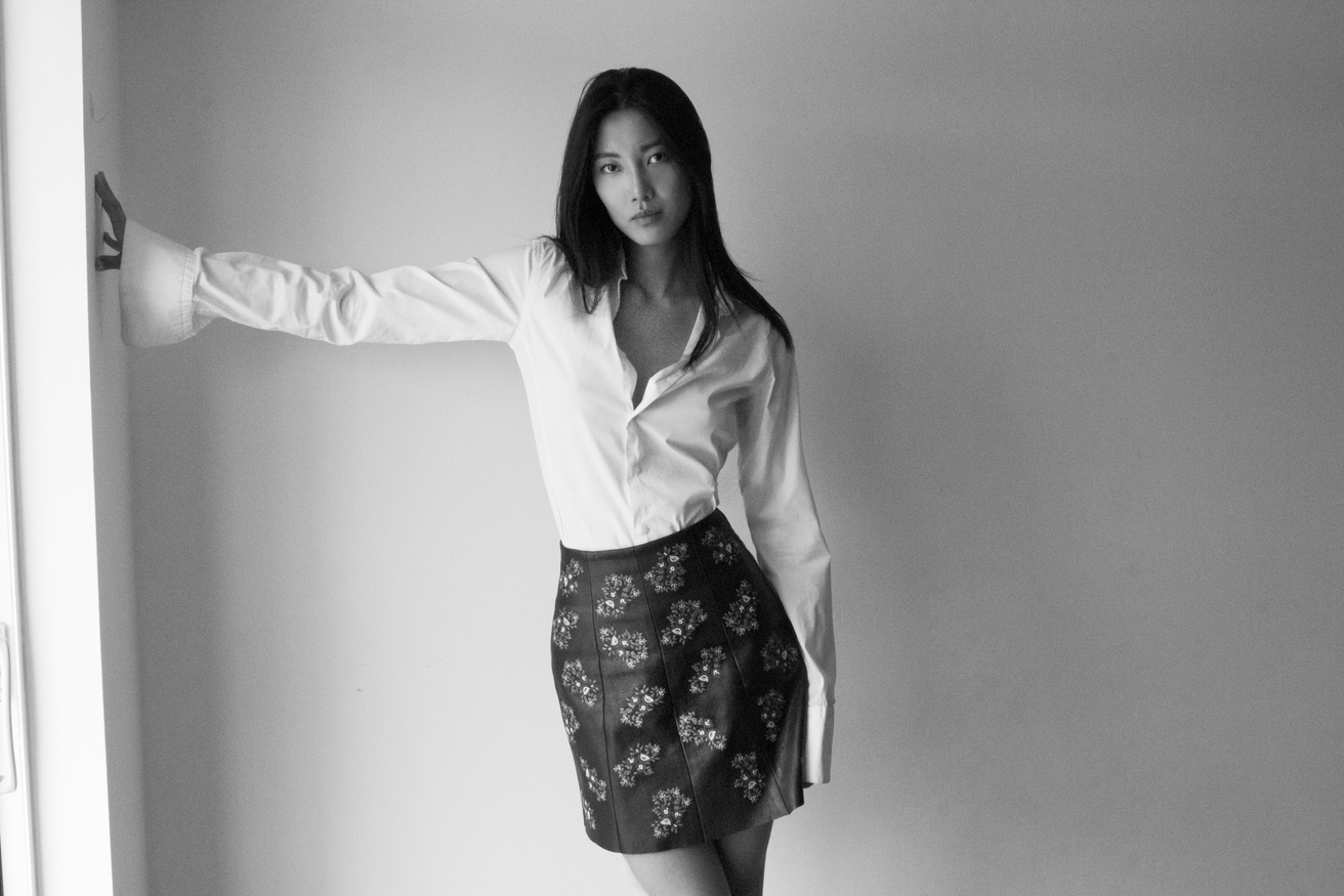Model Image
