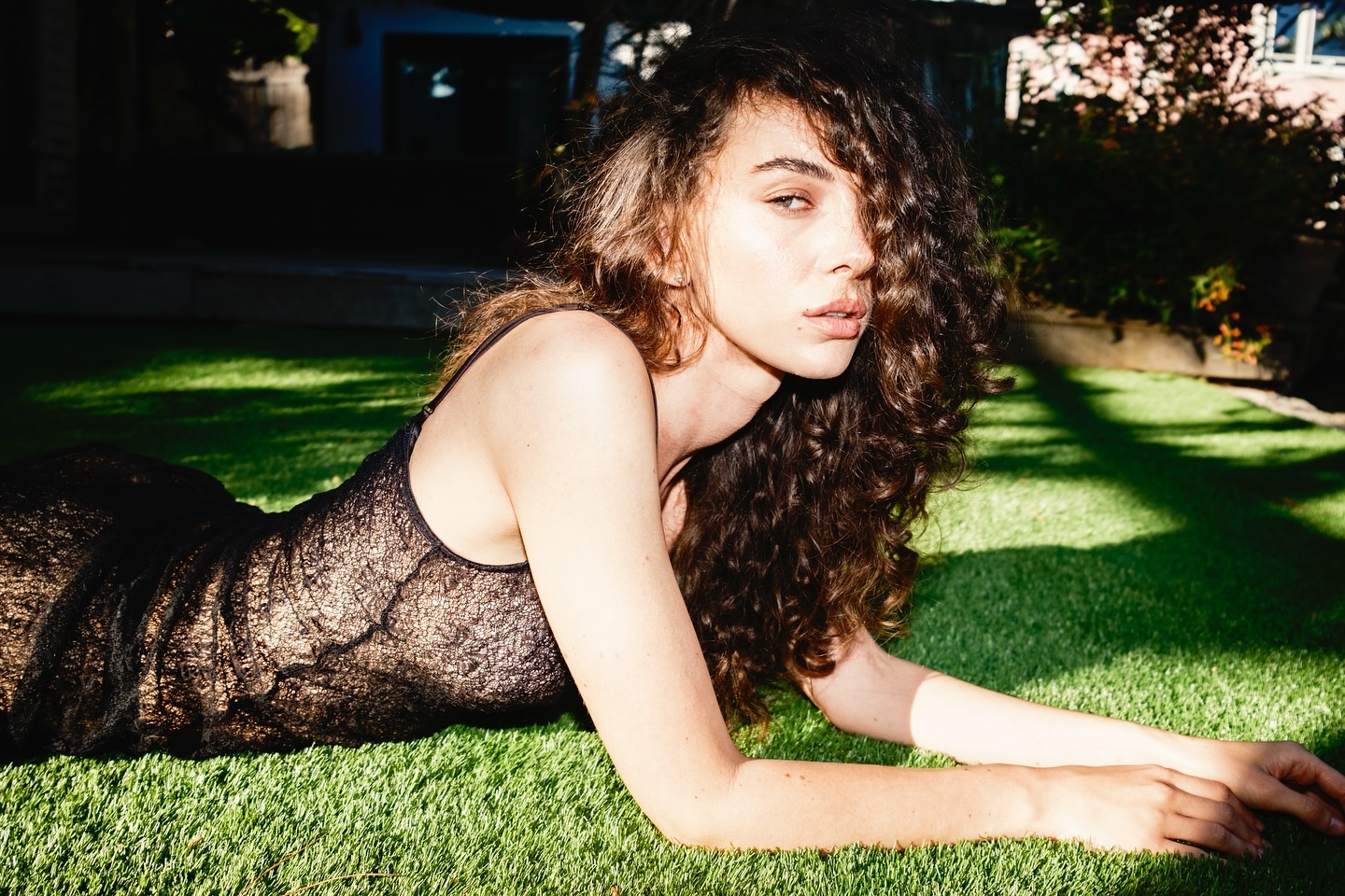 Model Image