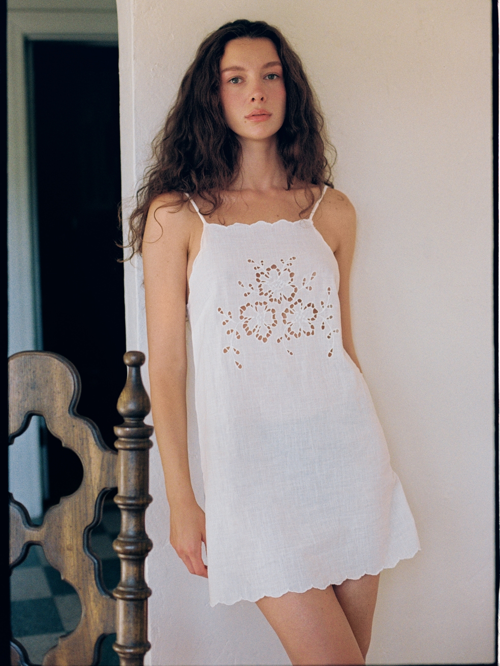 Model Image