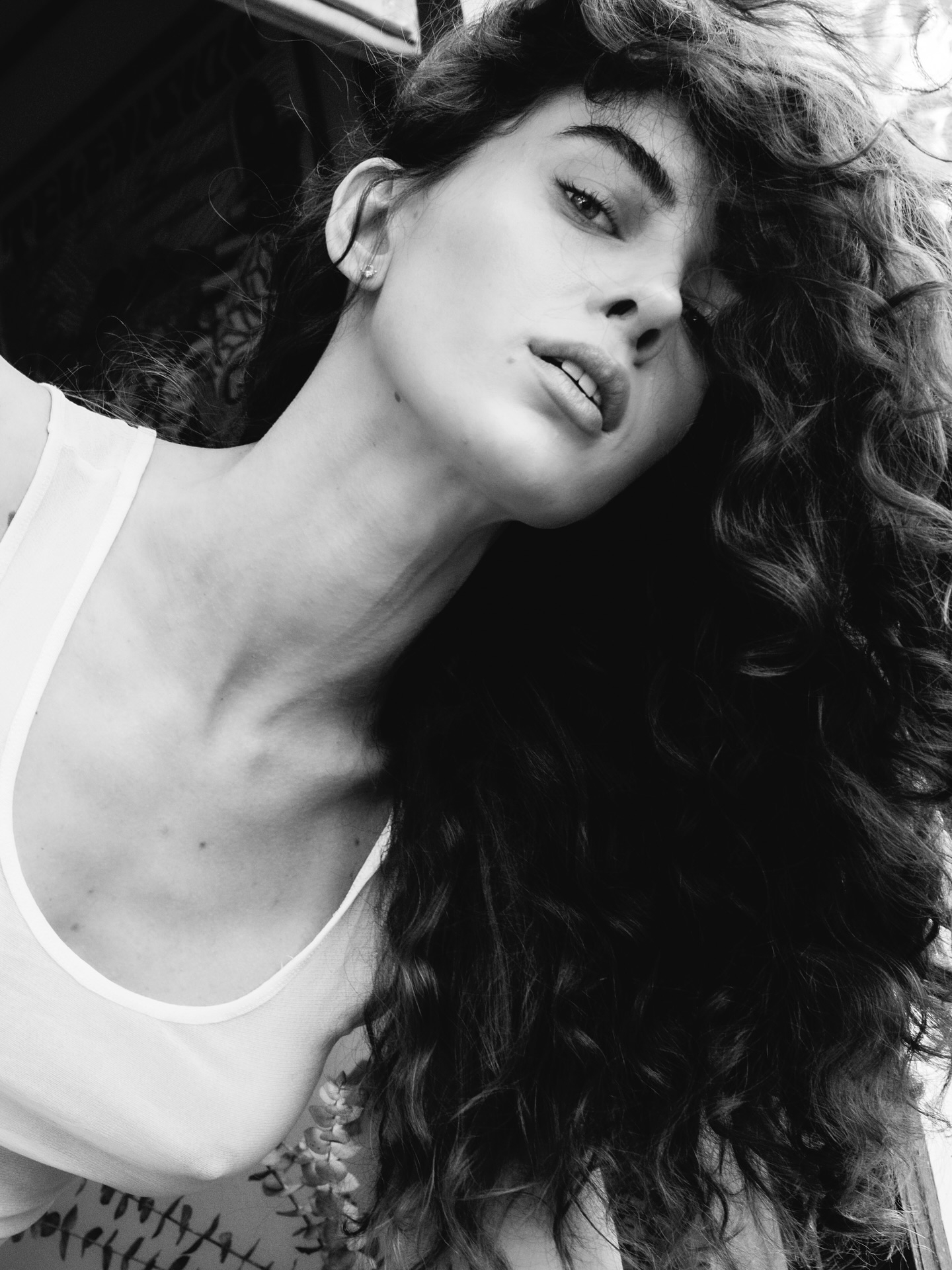 Model Image