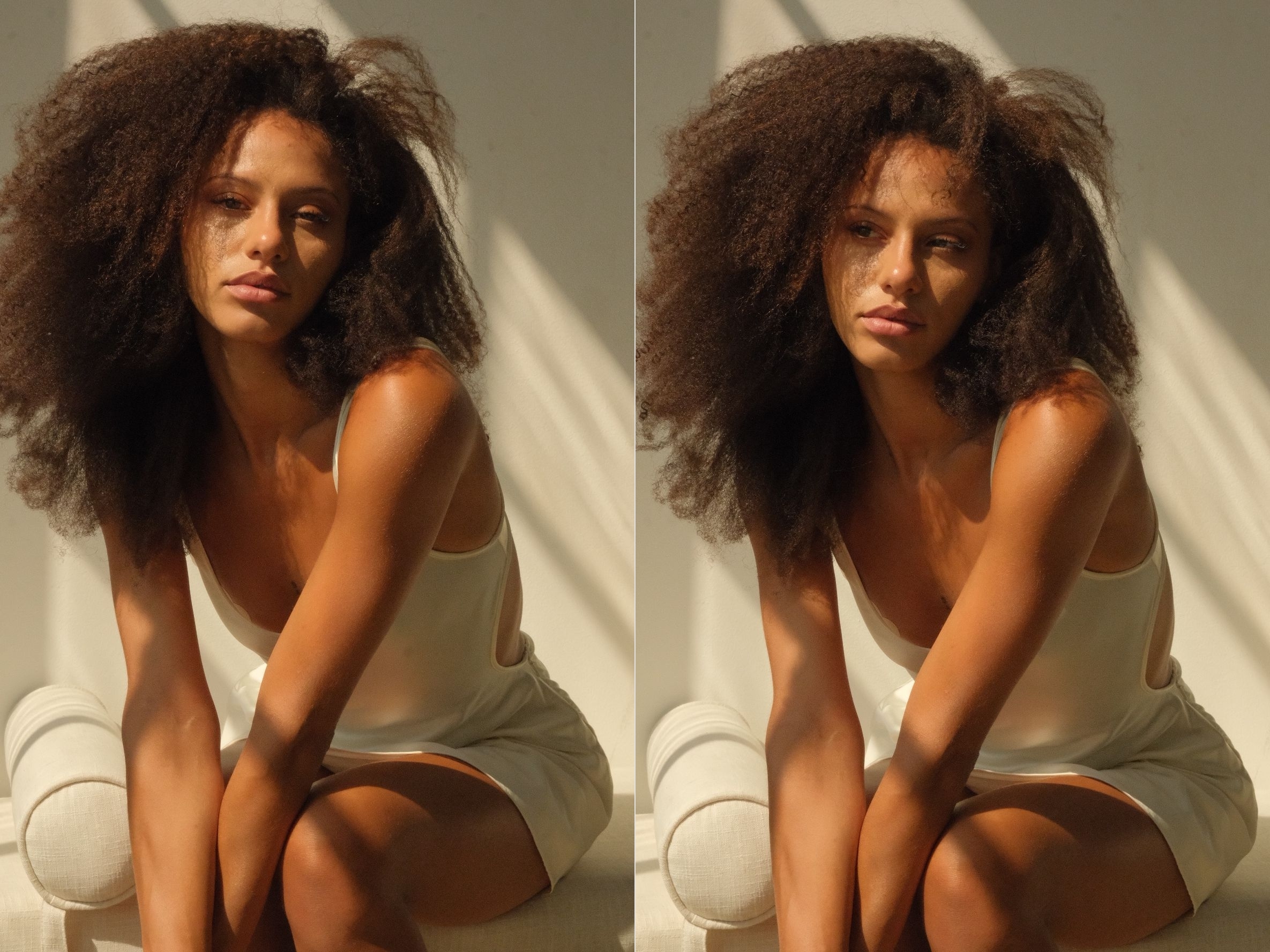 Model Image