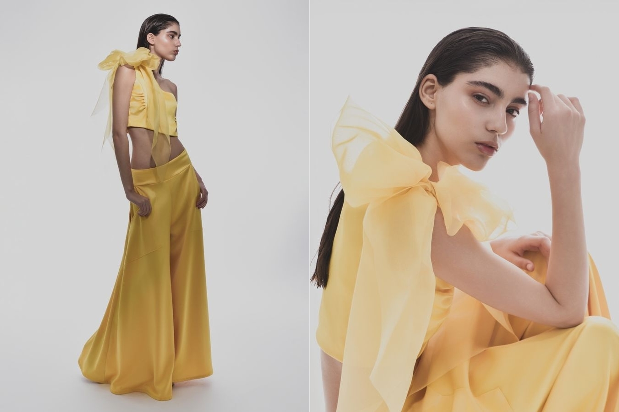 Model Image