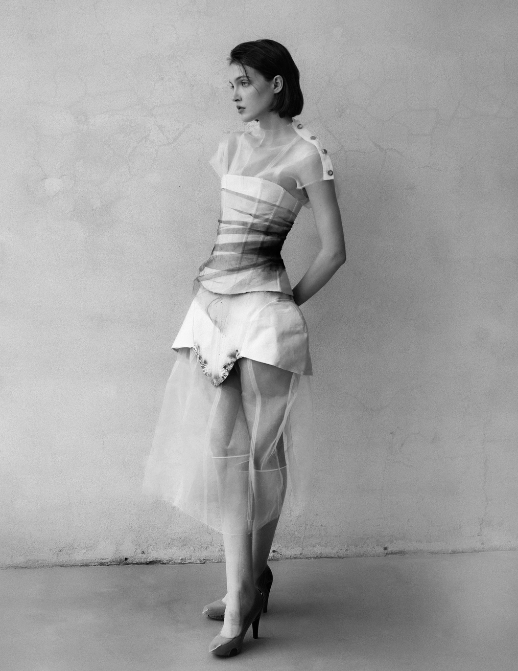 Model Image