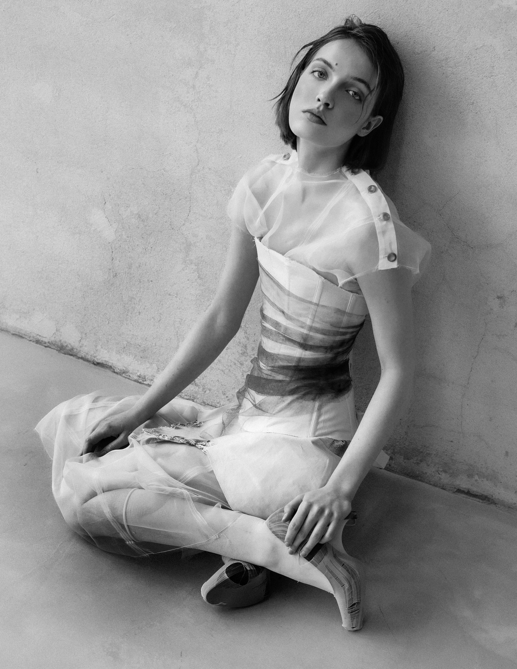 Model Image