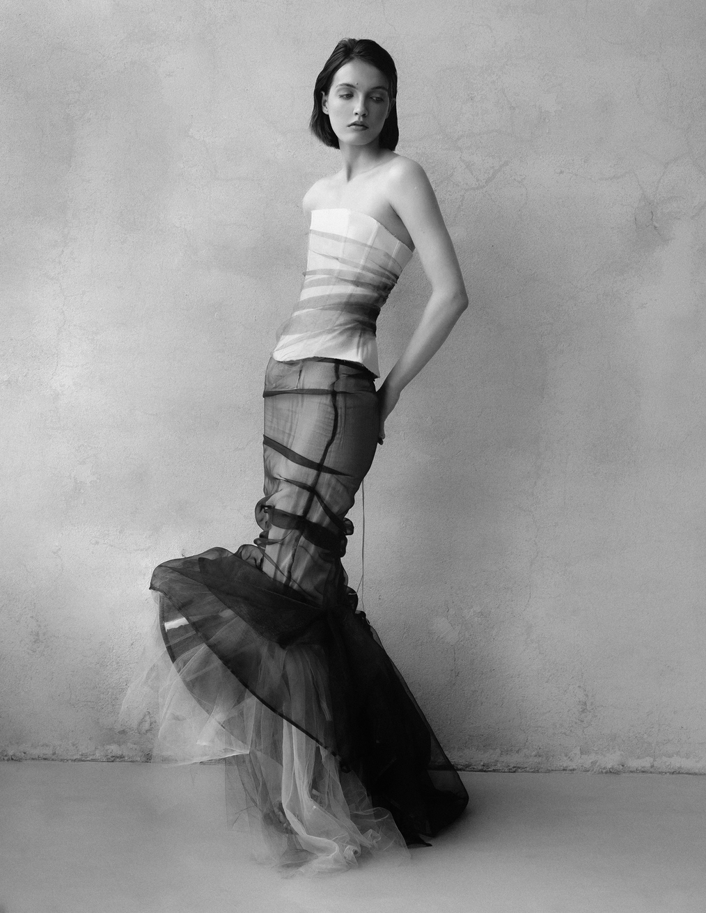 Model Image