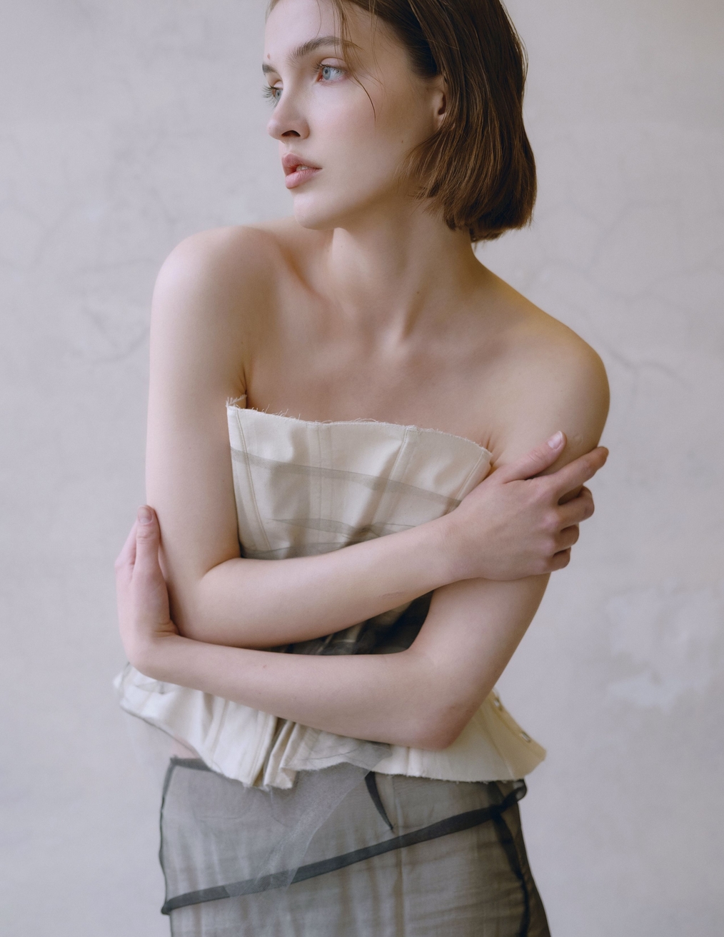Model Image