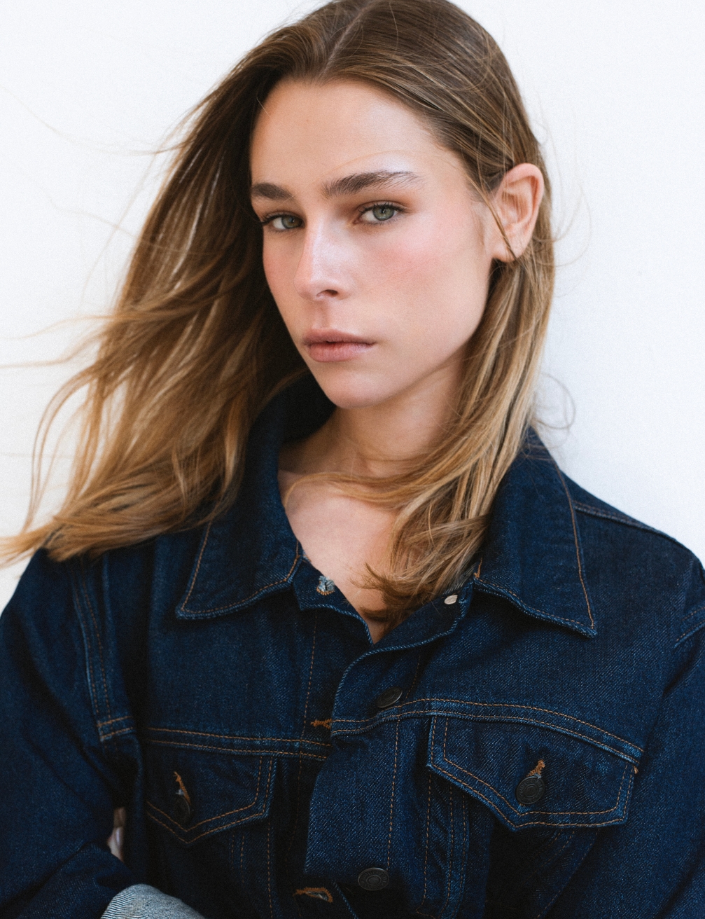 Model Image