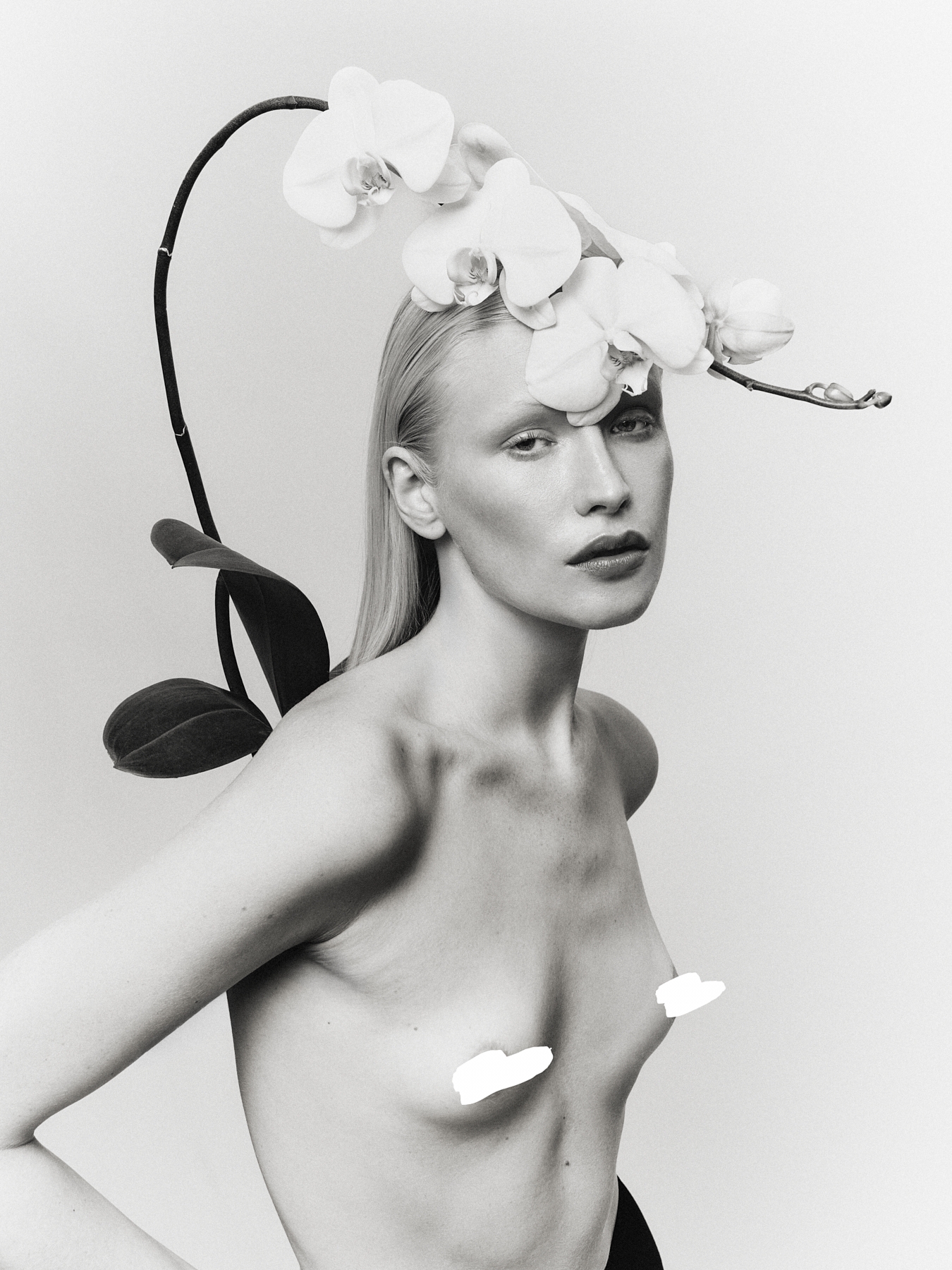 Model Image