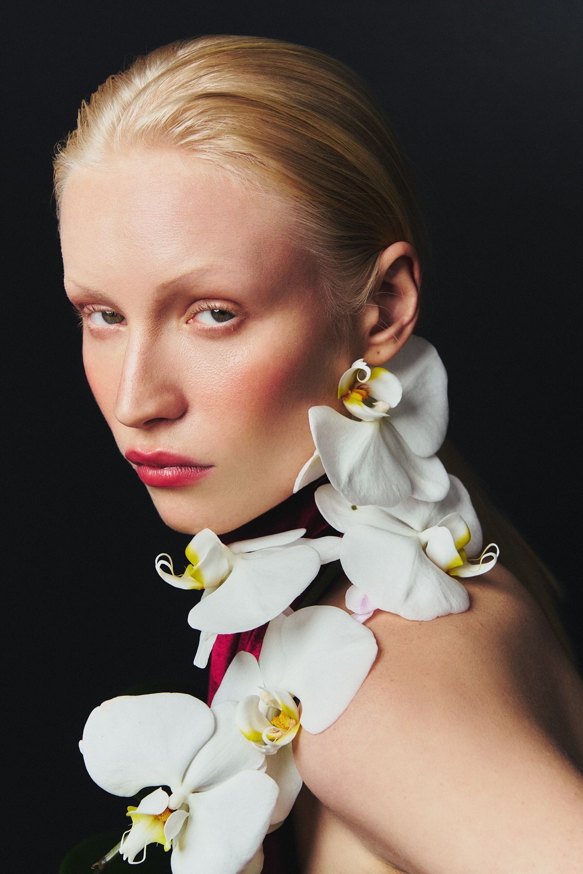Model Image