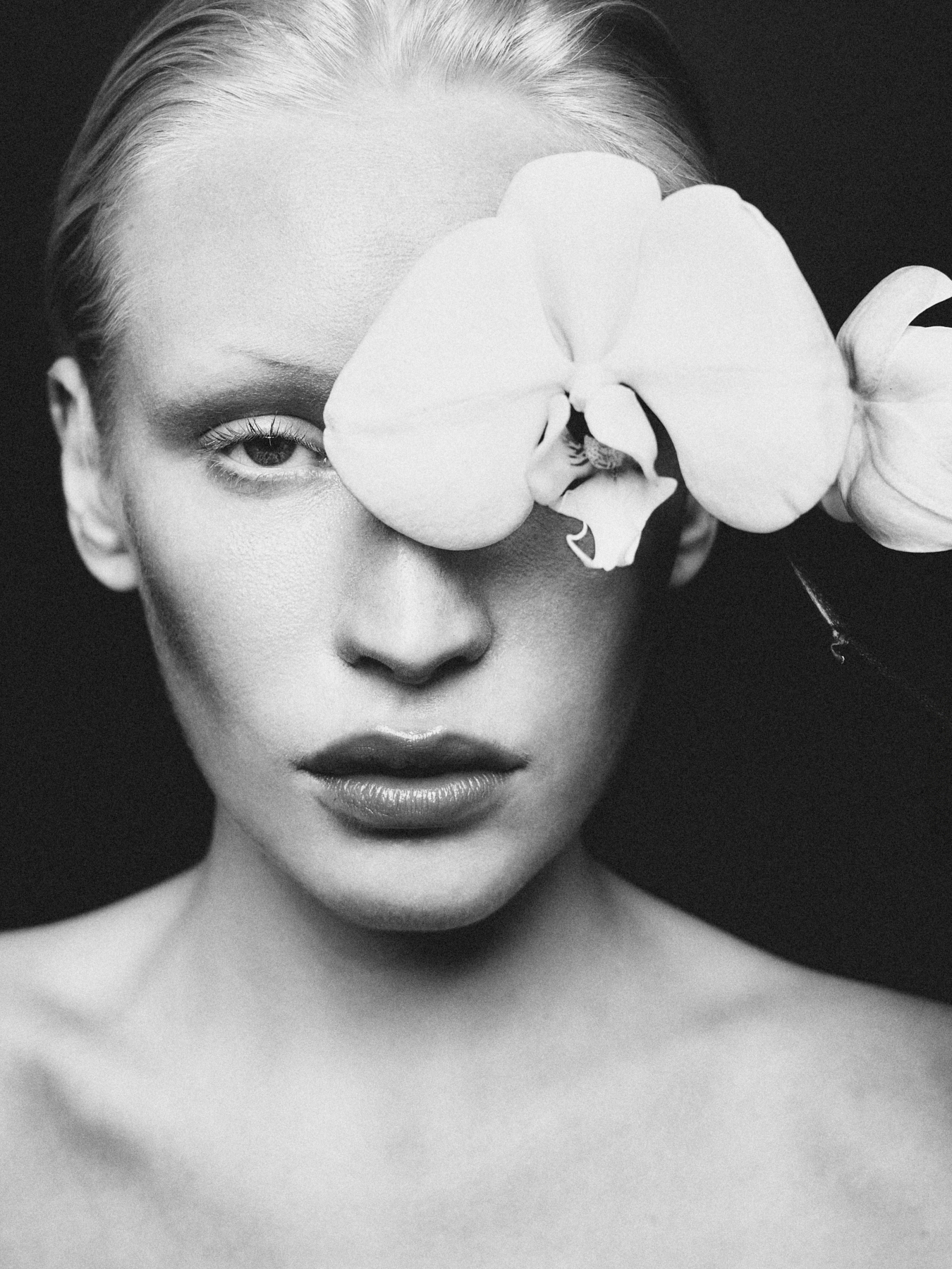 Model Image