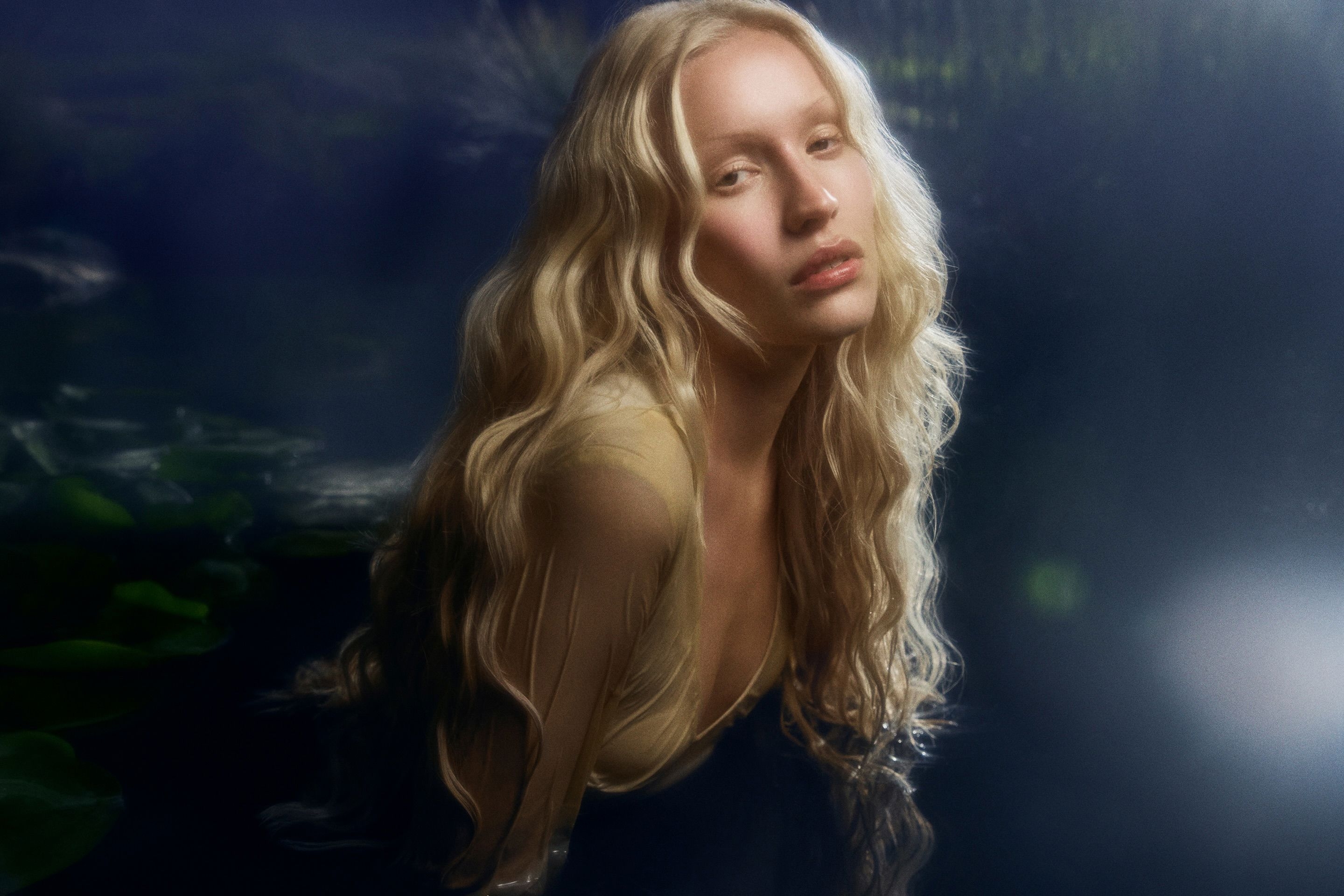 Model Image