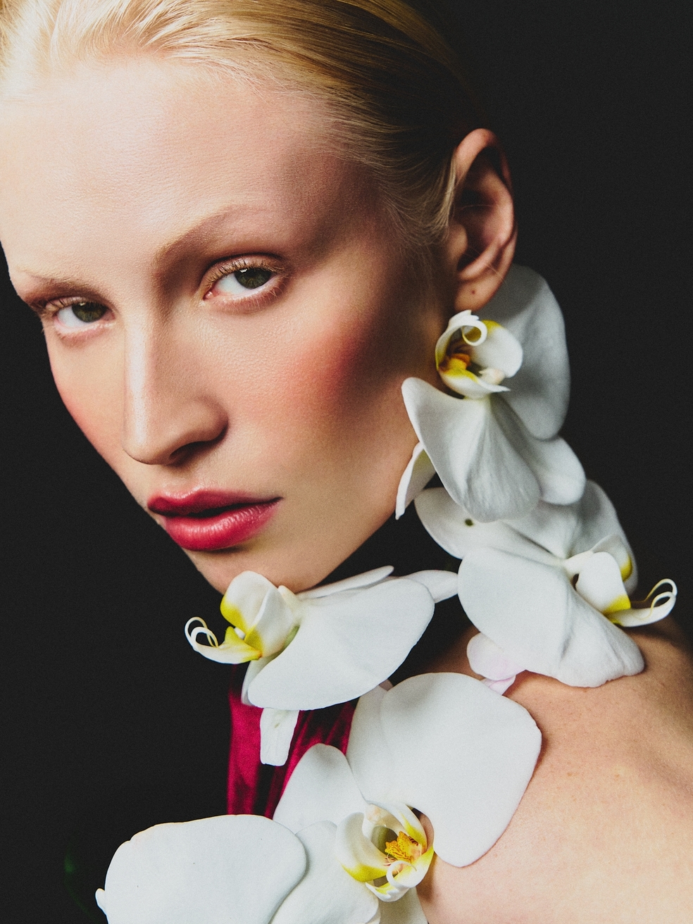 Model Image