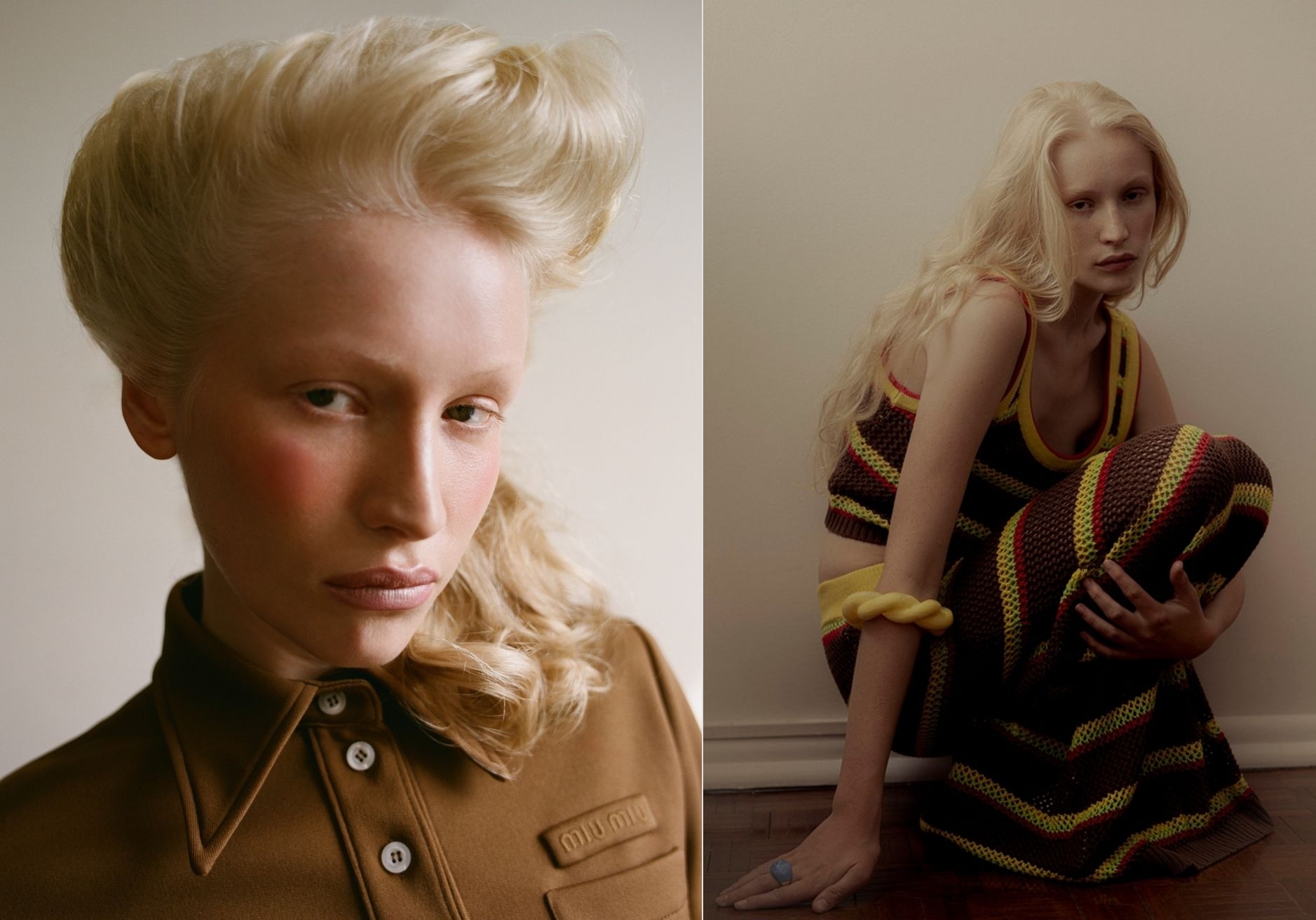 Model Image