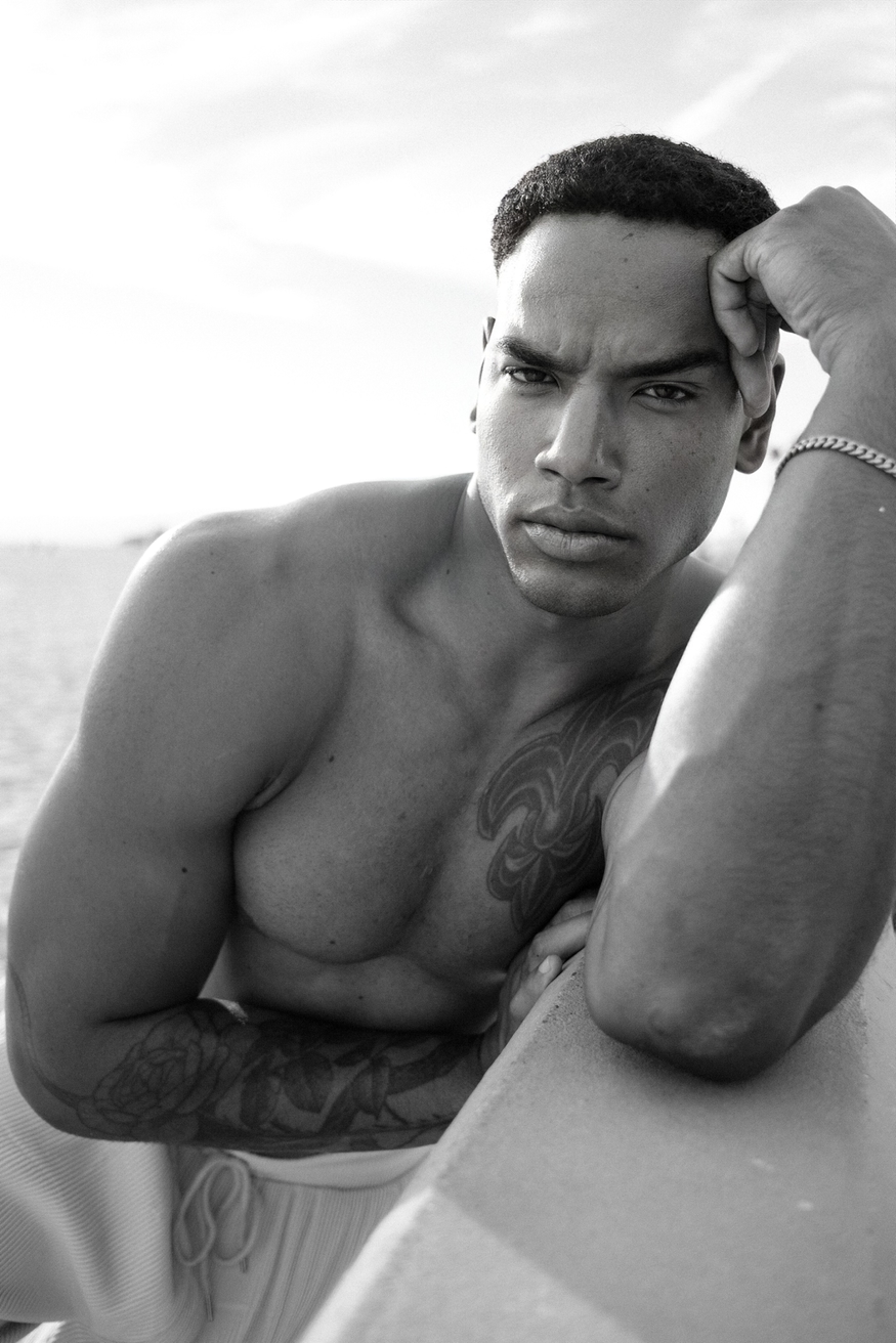 Model Image