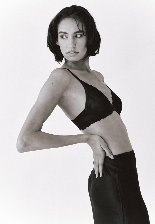 Model Image