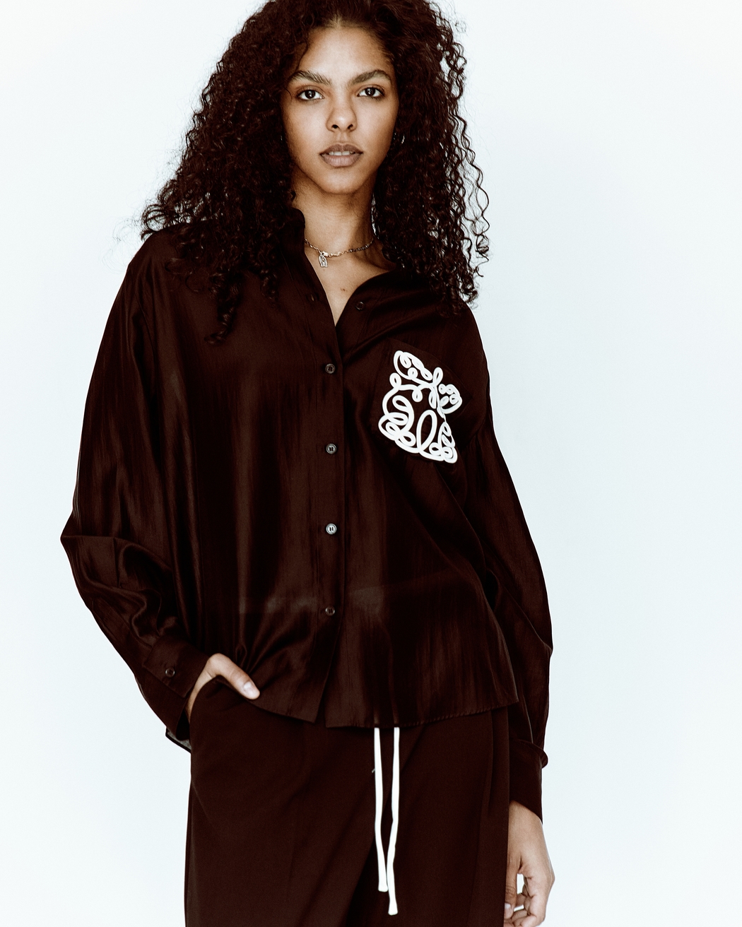 Model Image