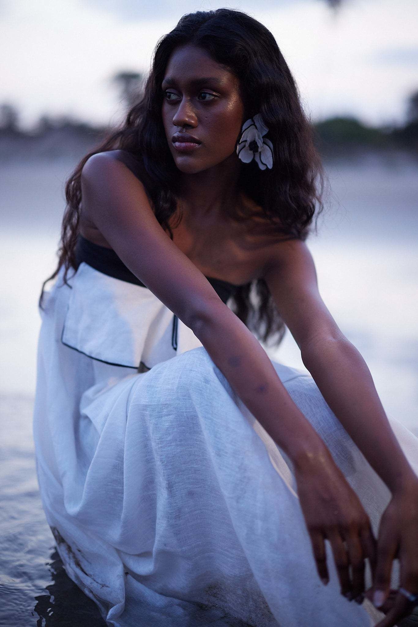 Model Image