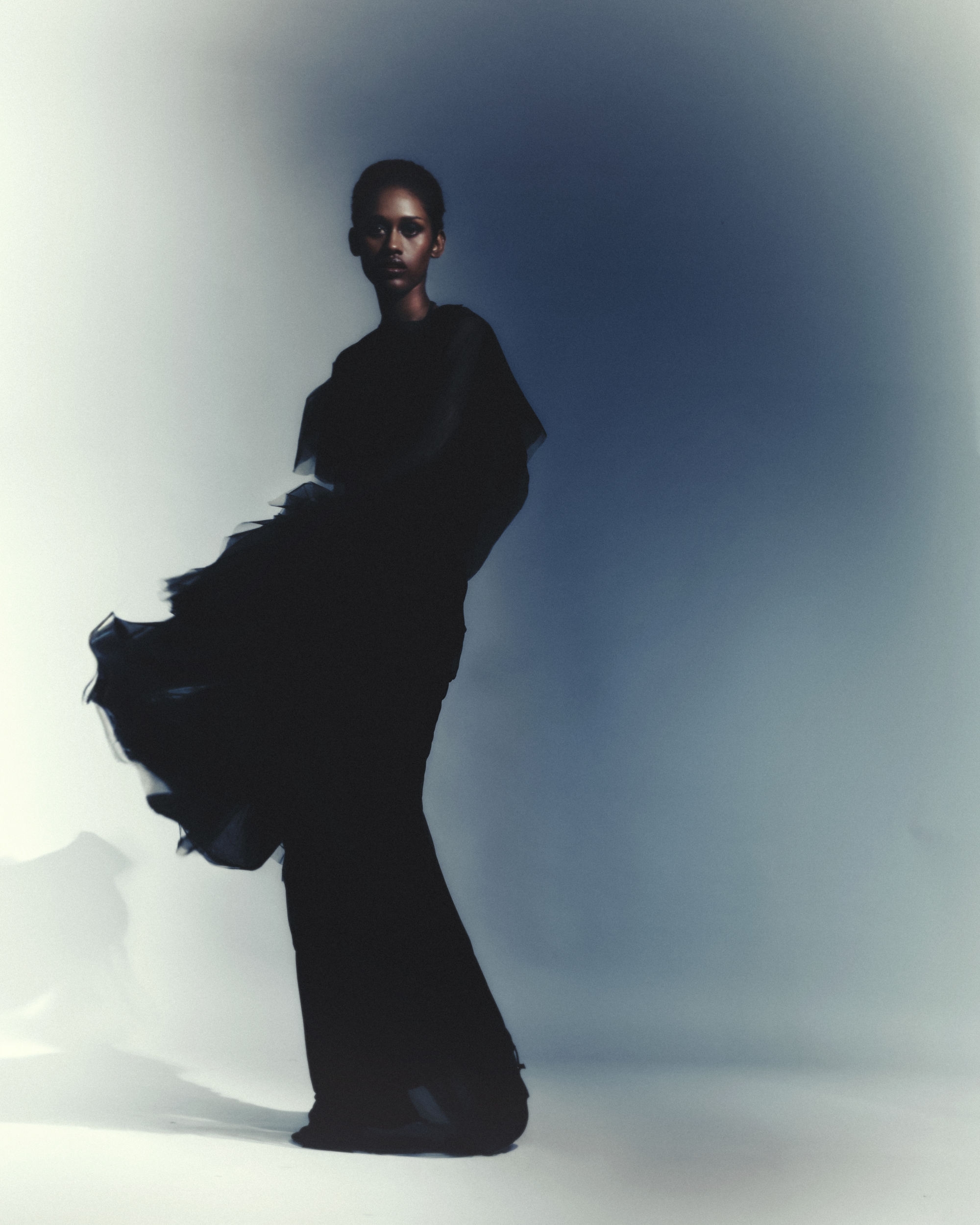 Model Image