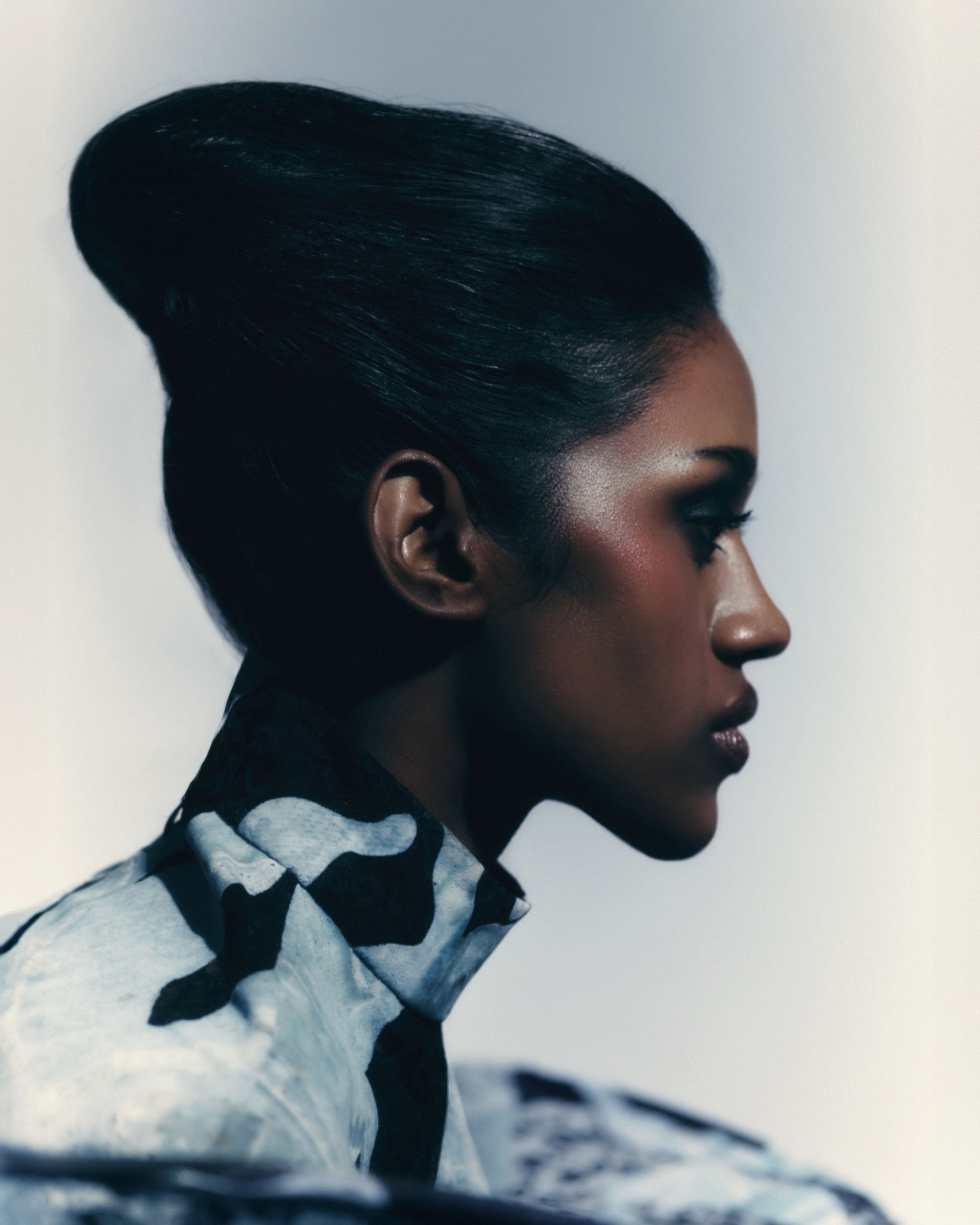 Model Image