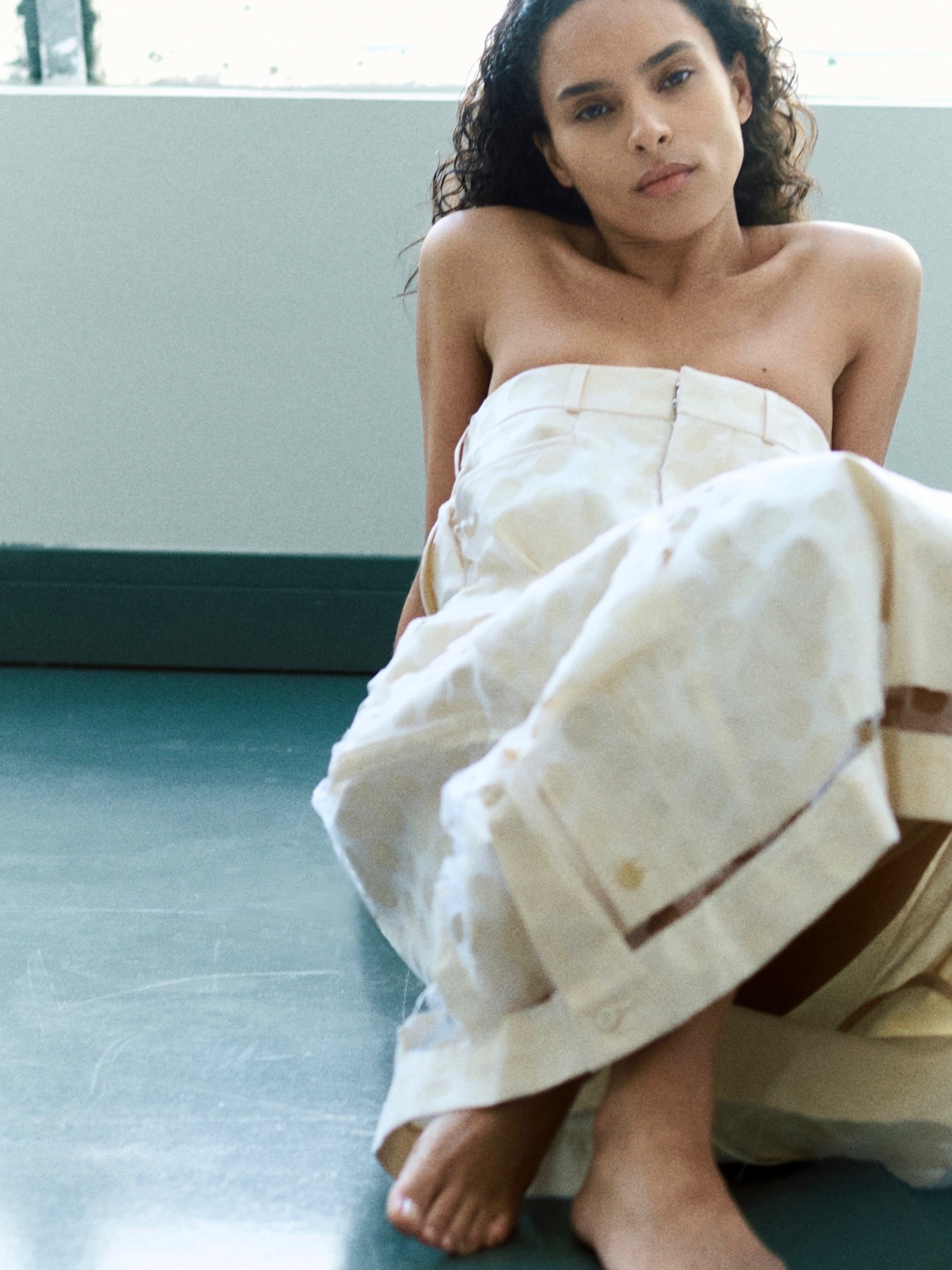 Model Image