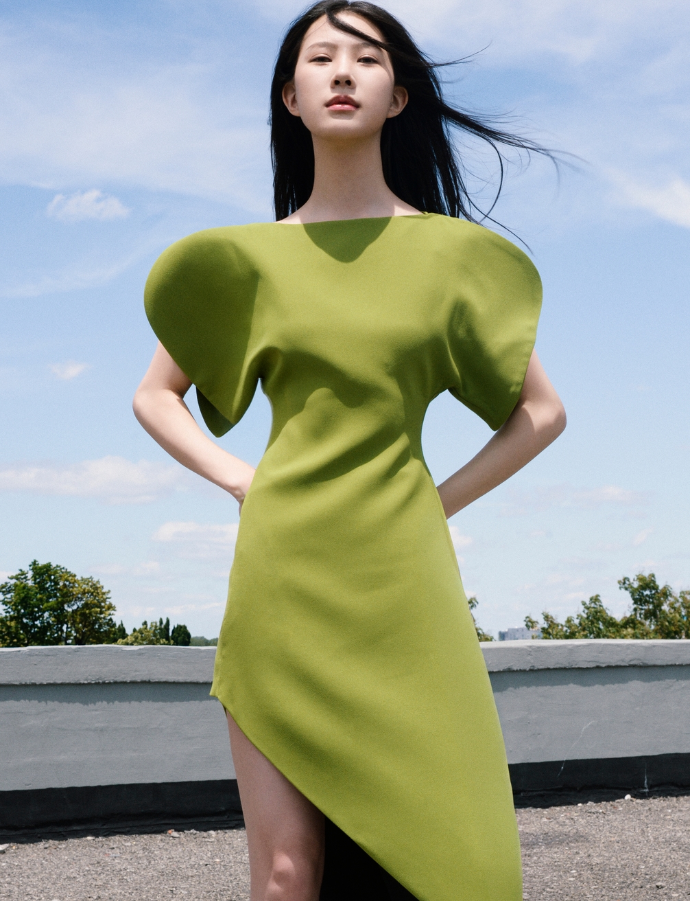 Model Image